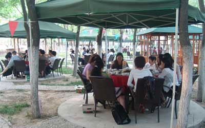 遠(yuǎn)離城市的喧囂，我們仰望著藍(lán)天白云